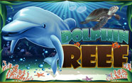 Dolphin Reef