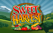 Sweet Harvest