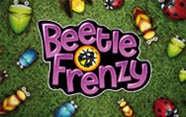 Beetle Frenzy