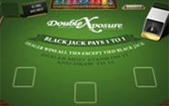 Double Exposure Blackjack Pro
