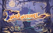 Wild Witches